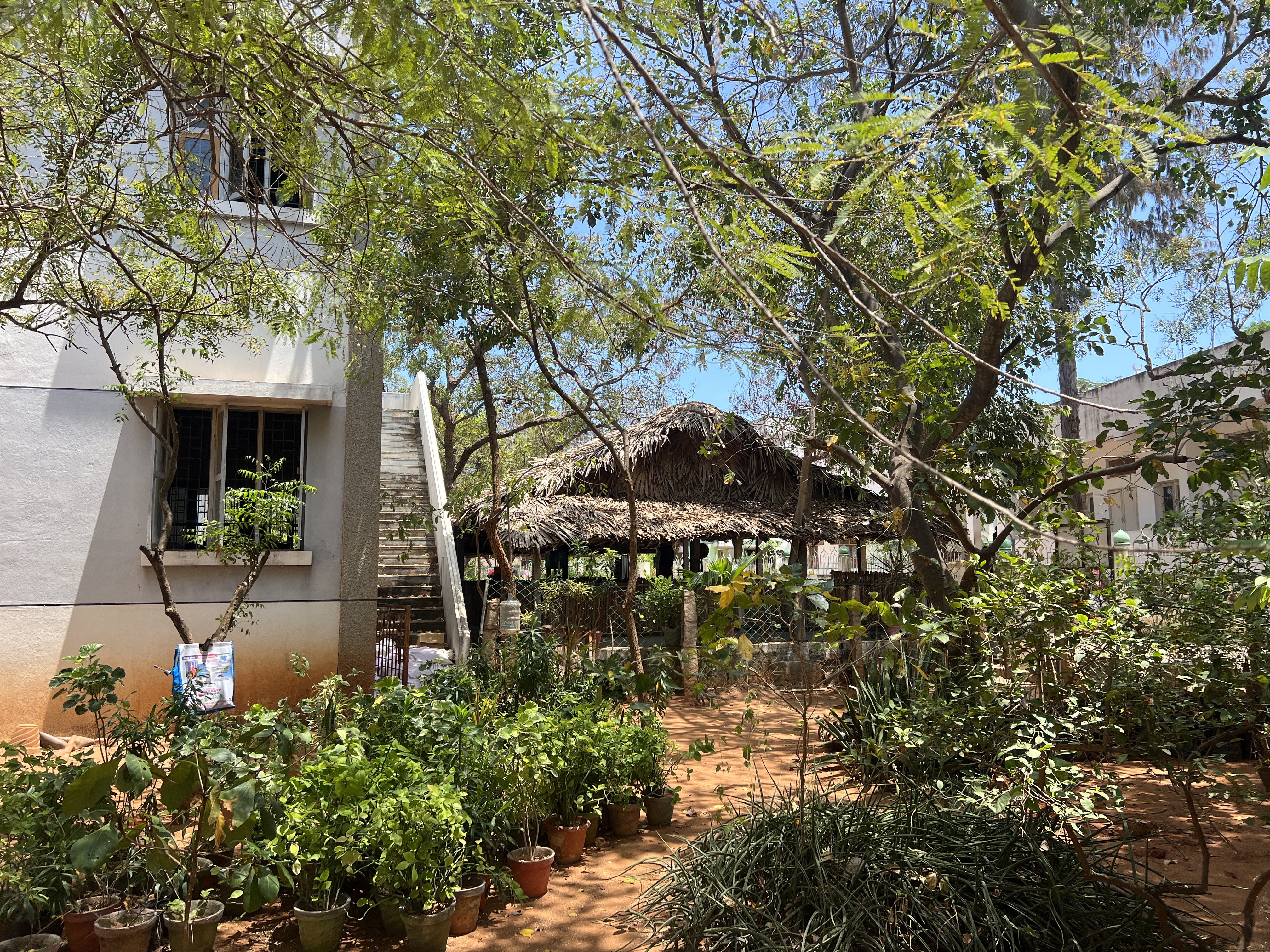 Herbal Garden 3